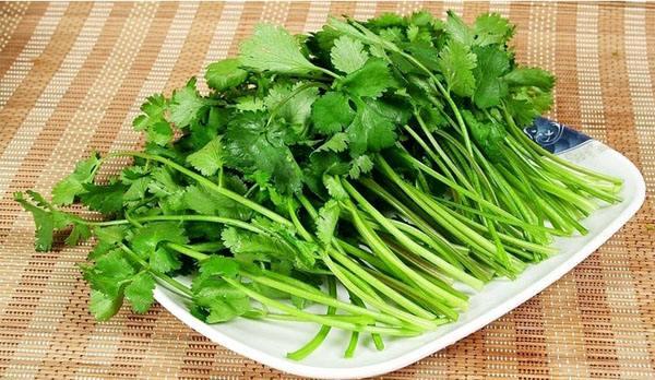 香菜到底属不属于佛家饮食禁忌的“五荤”菜系？ - 知乎