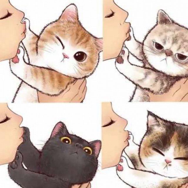 在猫咪眼中，人类的哪些行为，是它们认为「流氓」且没礼貌的？