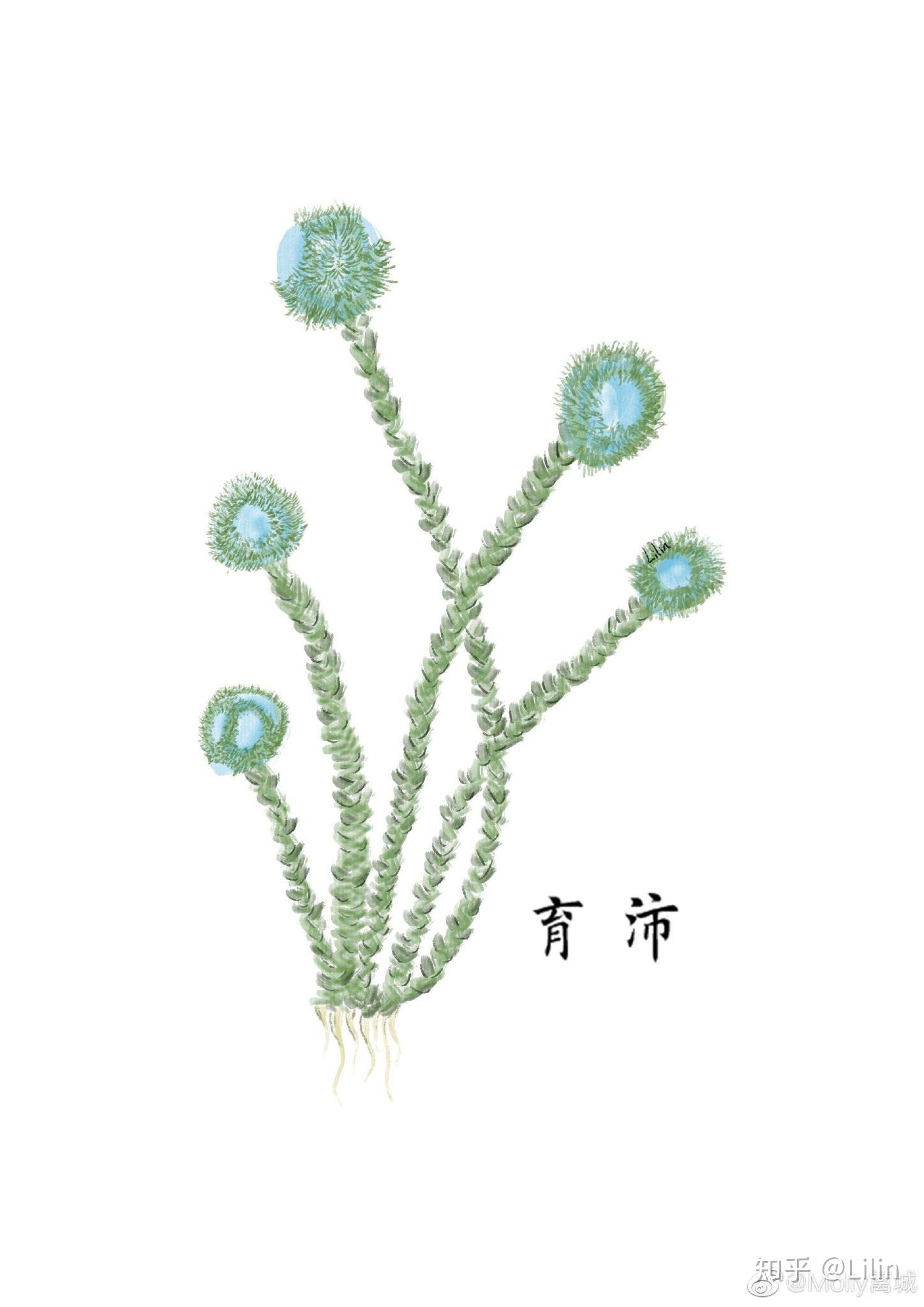 为啥中国没有拍摄《山海经》电影? - 知乎