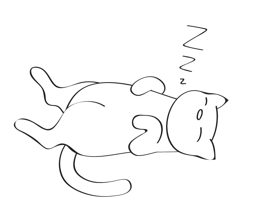 和猫睡一个被窝有什么风险