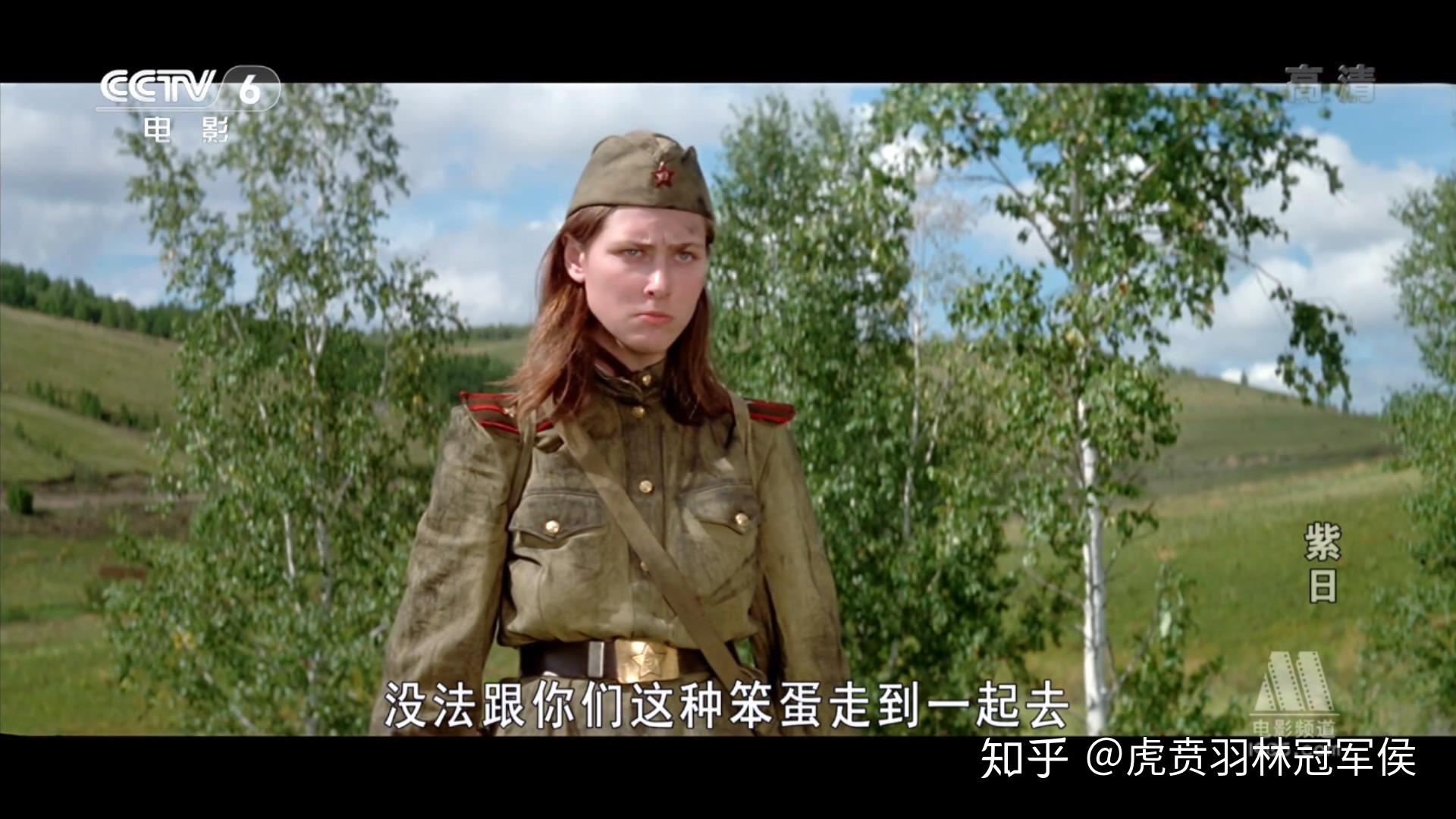 如何评价紫日这部电影