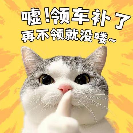 猫猫车助手