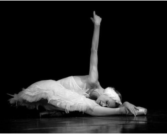 那些20岁之前必须知道的经典艺术作品现代芭蕾天鹅之死