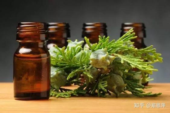 植识库|丝柏精油的8种益处及6种配方 - 知乎