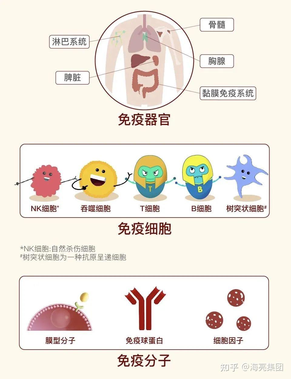 免疫对机体是 zhuanlan.zhihu.com