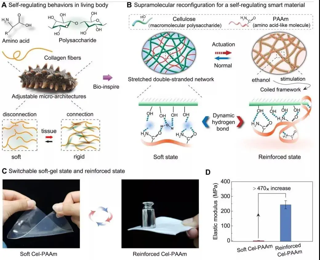 絡繹精選論文中國科學家研發剛度可切換的仿生智能材料硬度提高500倍