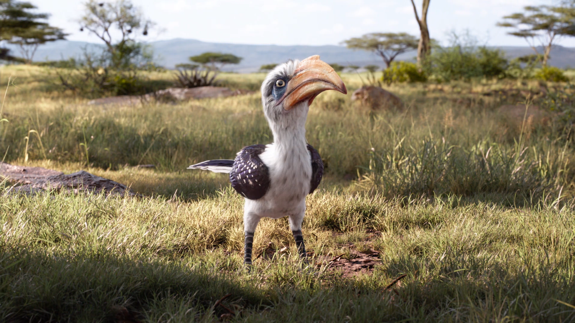 262狮子王hakunamatata