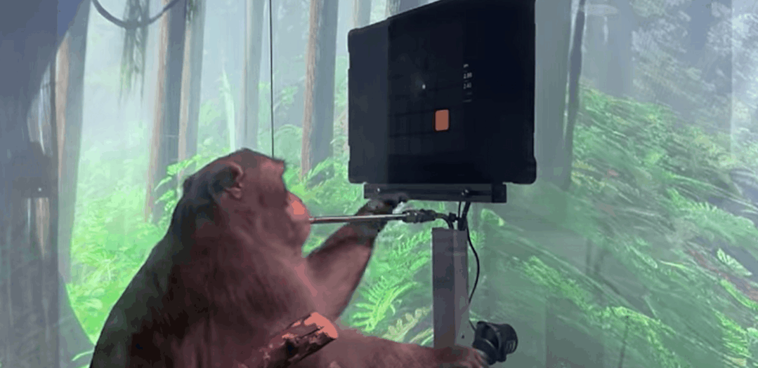 这件事情我憋很久了,今天一吐为快。 这件事情我憋很久了,今天一吐为快。