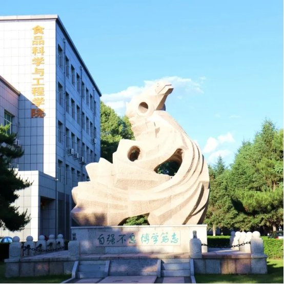 吉林大学到底好在哪