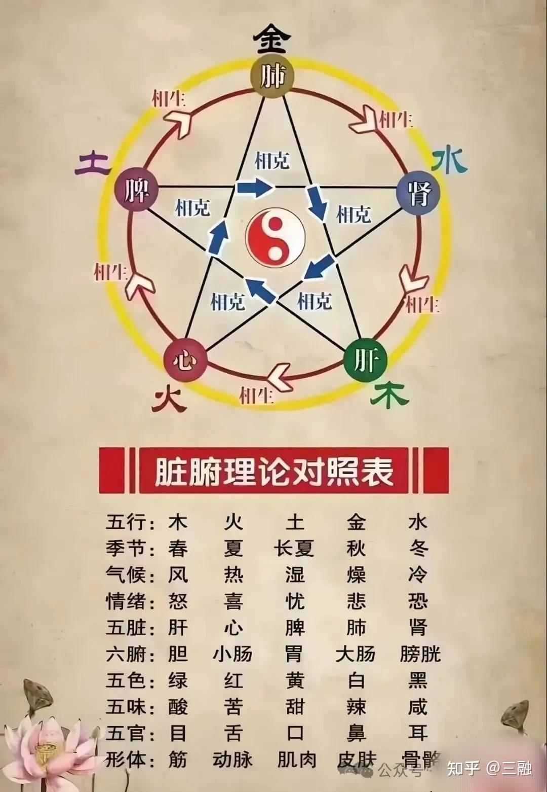 天干地支与人体部位对应表 - 知乎