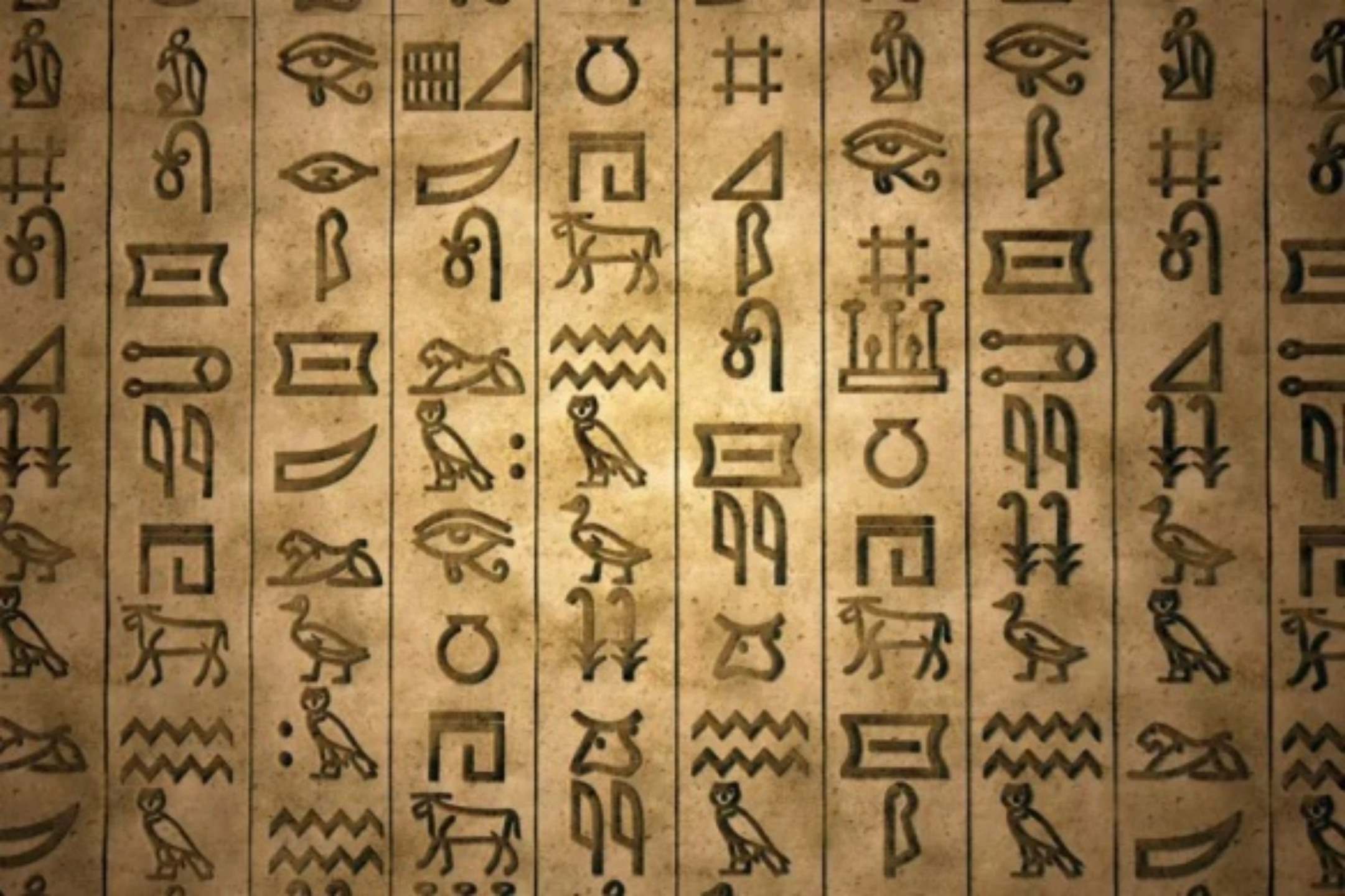 今天的埃及人除了靠金字塔发展旅游赚点钱外,他们今天的文化和古埃及