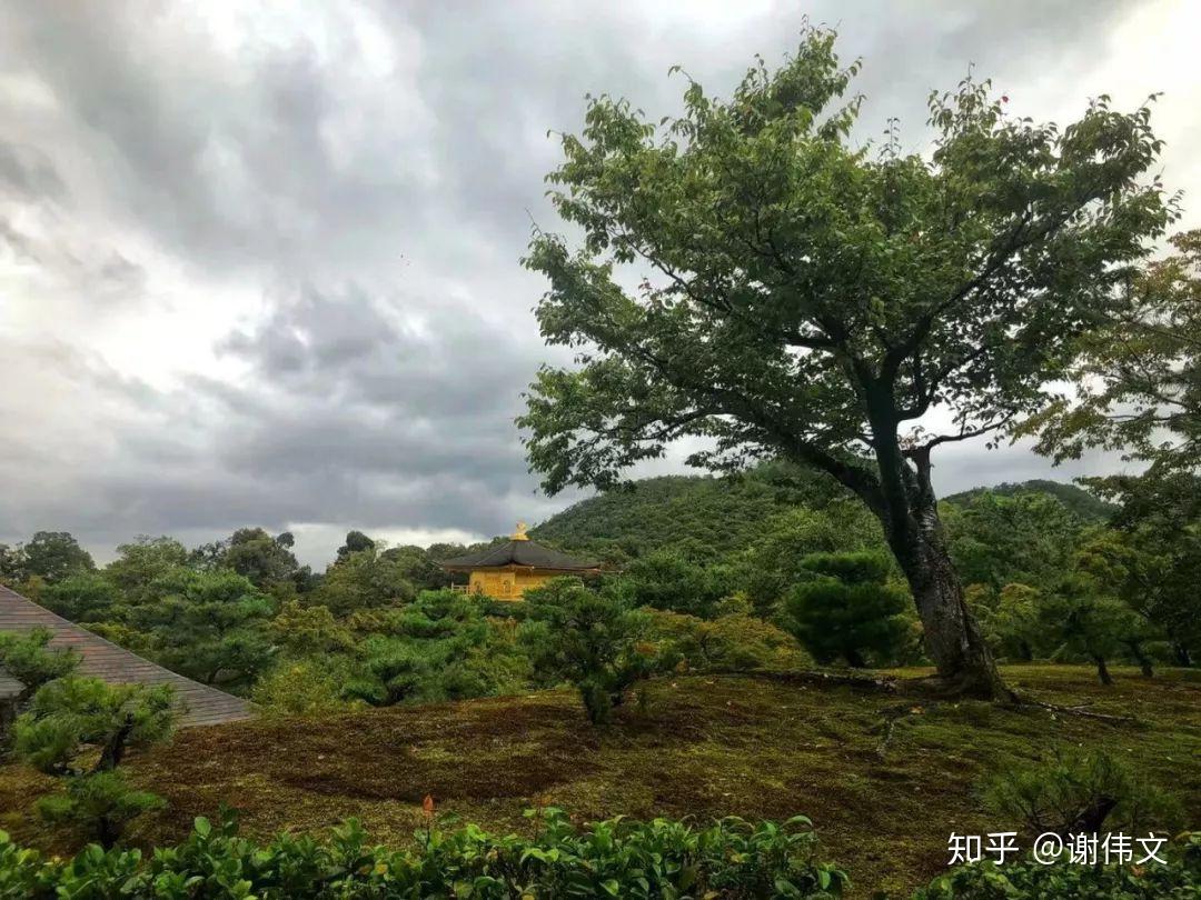 还提供茶园采茶,制茶,茶器制作,画画等等,包括喝茶室,宇治茶