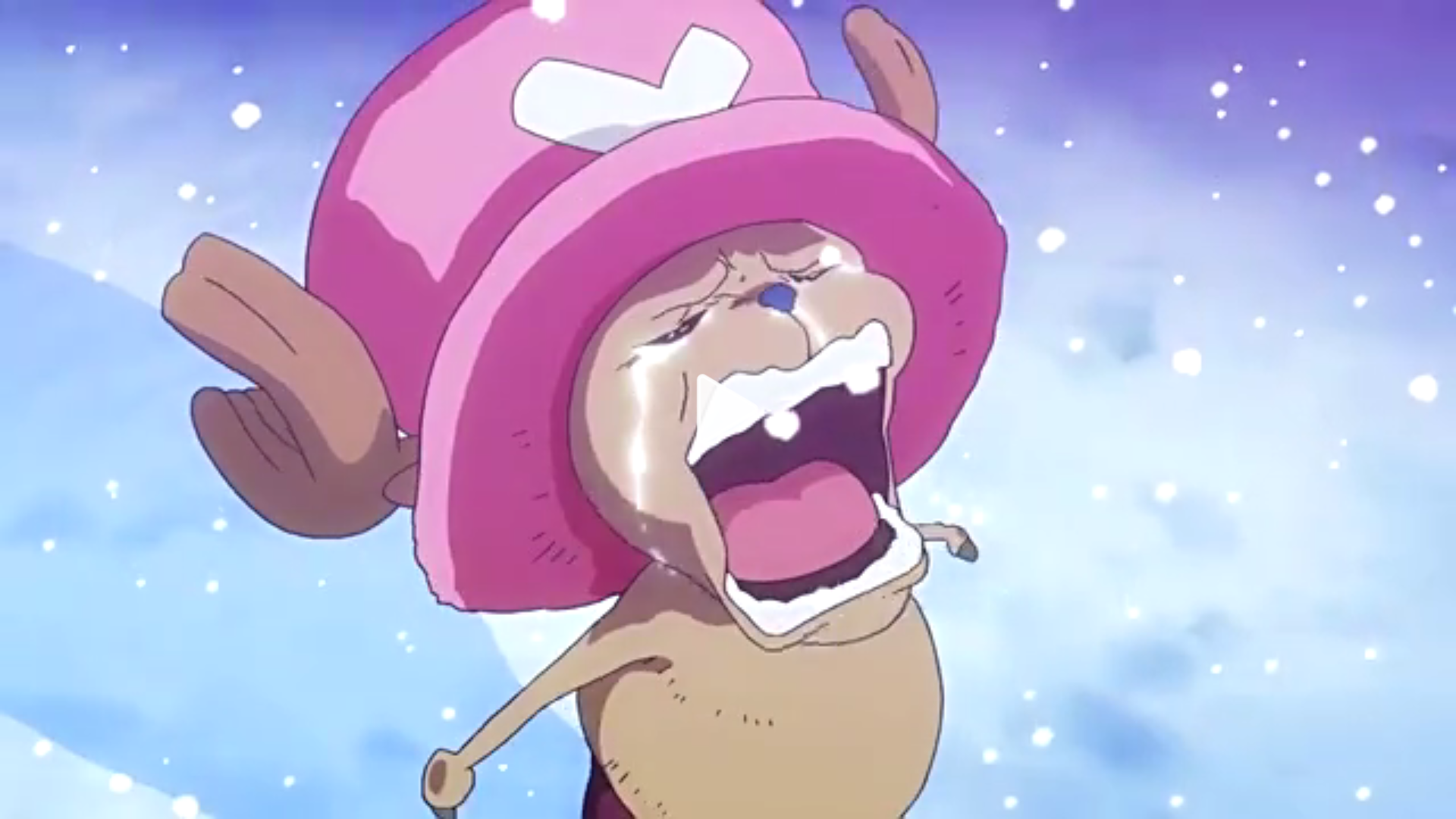 海贼中哪一幕曾让你泪流满面