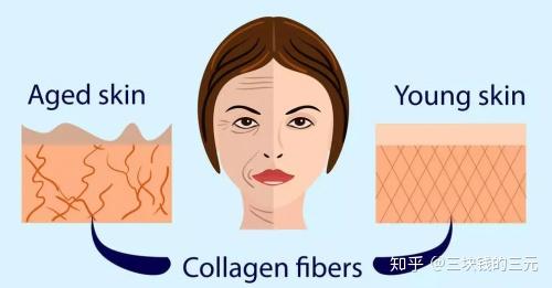 护肤不懂抗氧化抗糖化抗老化抹再多产品都白搭