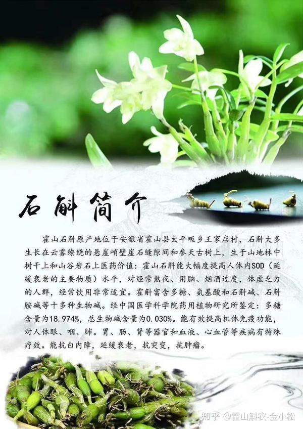 霍山石斛十大功效