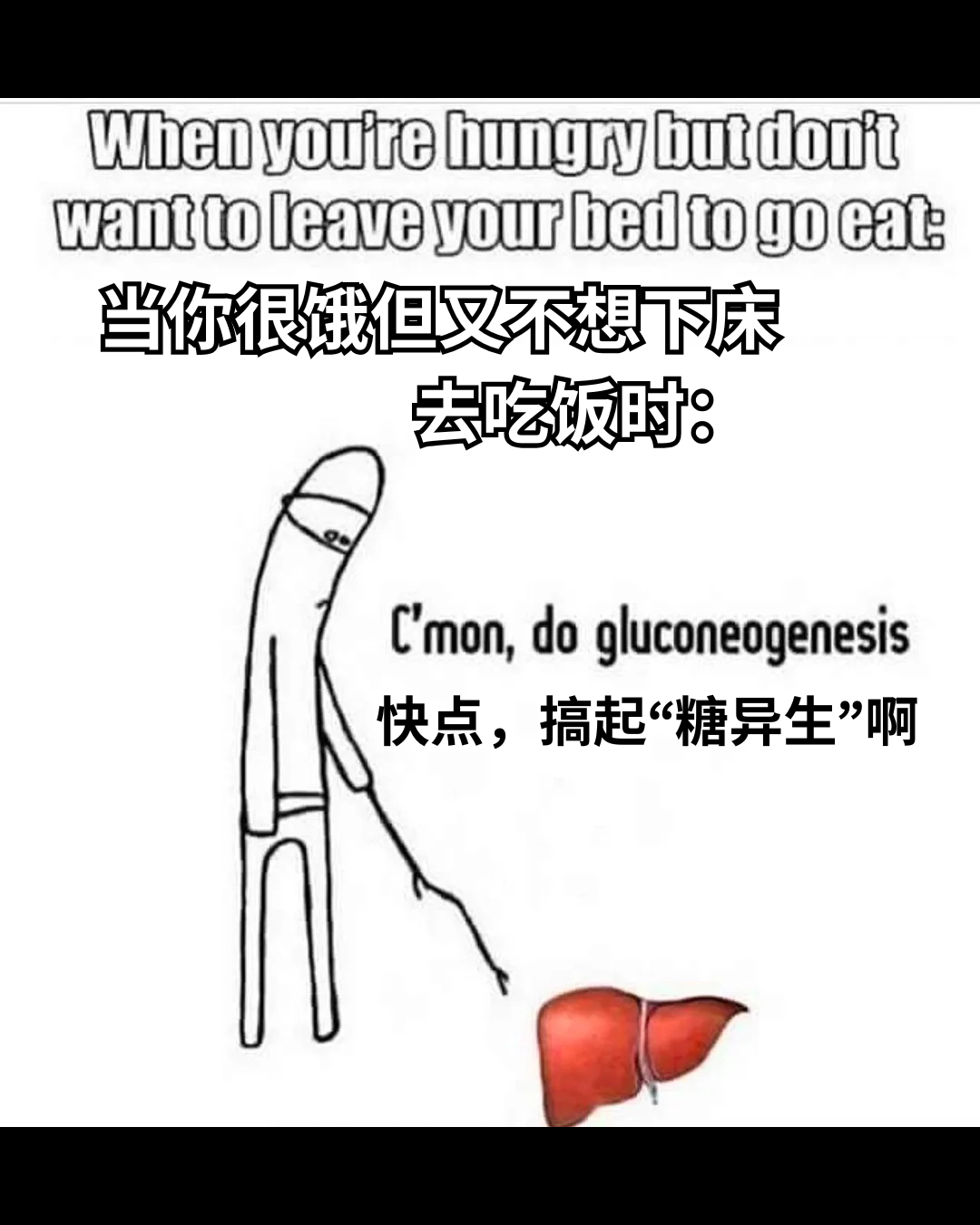【每日meme】生物学篇（1） - 知乎