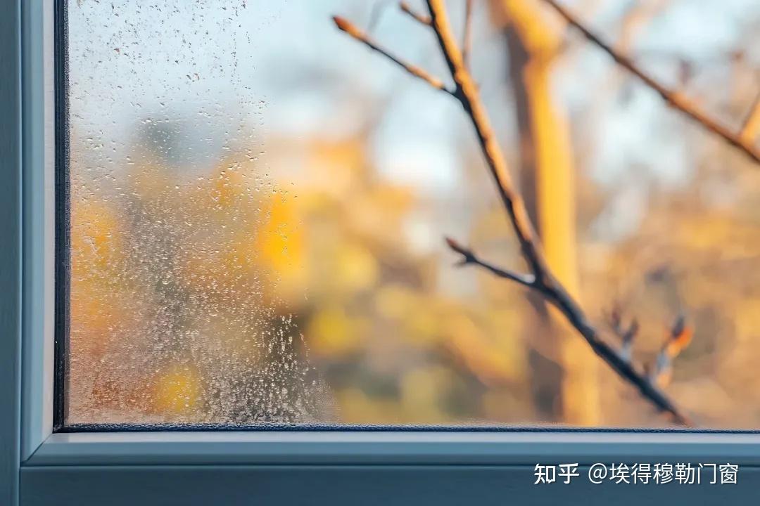 冬天窗户结露？实用应对方法大揭秘 - 知乎