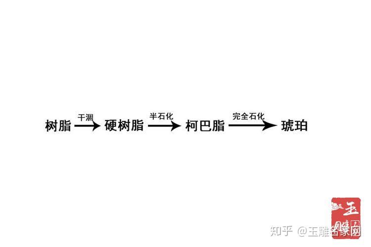 琥珀是怎么形成的琥珀形成需要哪些阶段