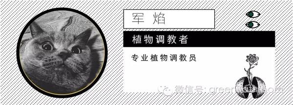 再也不怕不懂施肥 施肥全攻略 下 技能 知乎