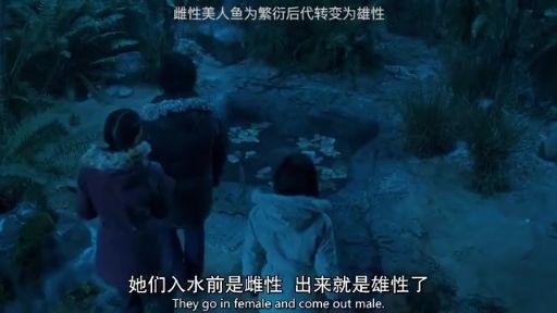 仅有32名女性的国家她们如何繁衍后代网友大开眼界