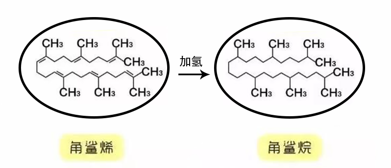 角鲨烯→角鲨烷的探索角鲨烷「squalane」这一成分的发现,最初来源于