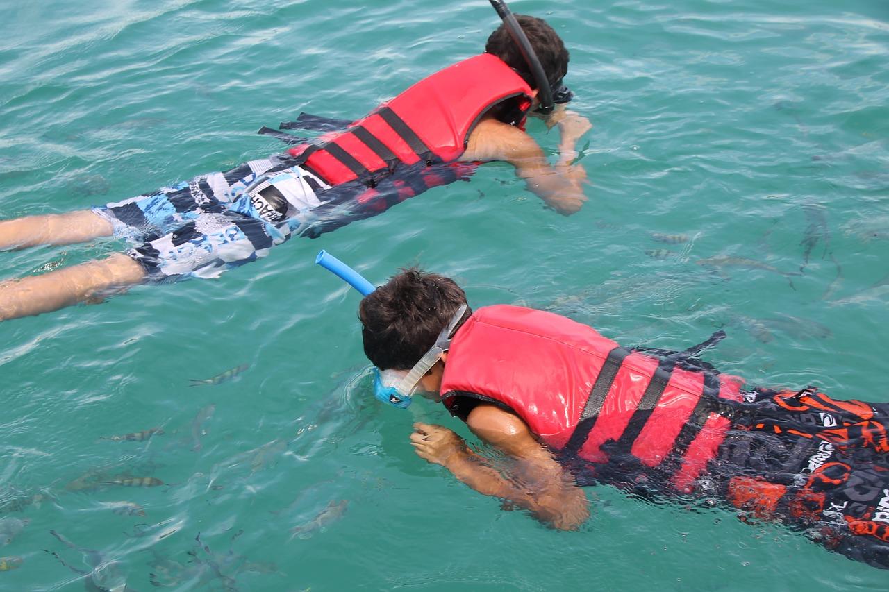 曦城游泳多少钱