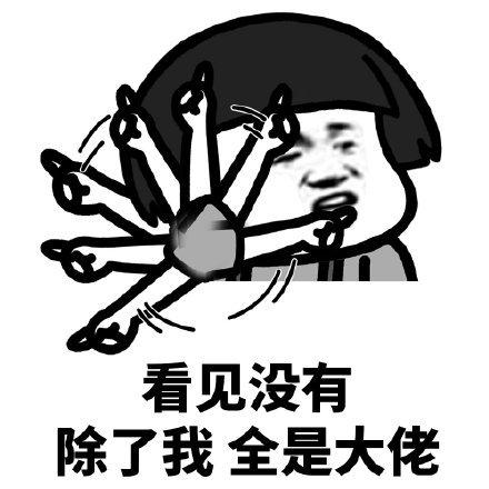 可爱的猫咪表情包金馆长表情包