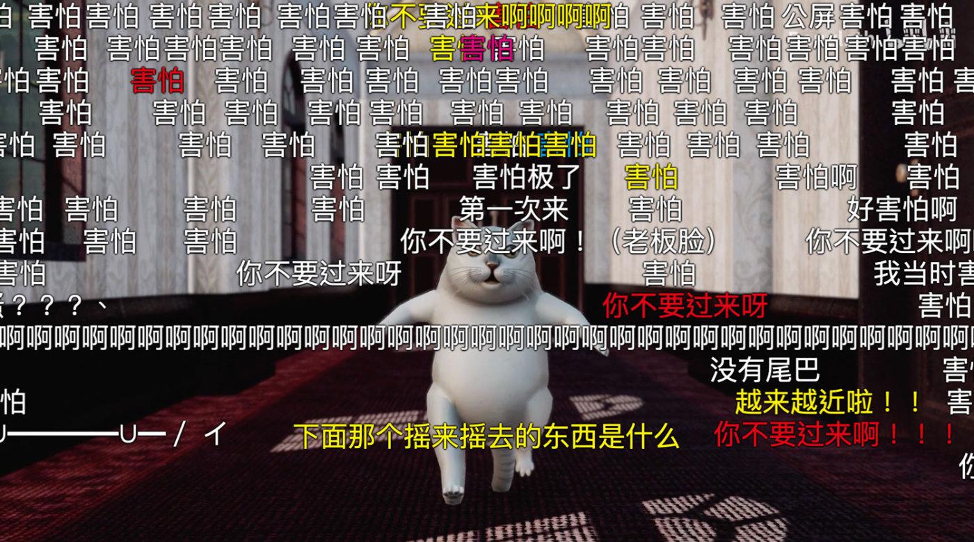 为什么微博b站流行的mur猫都有一对巨大的蛋蛋