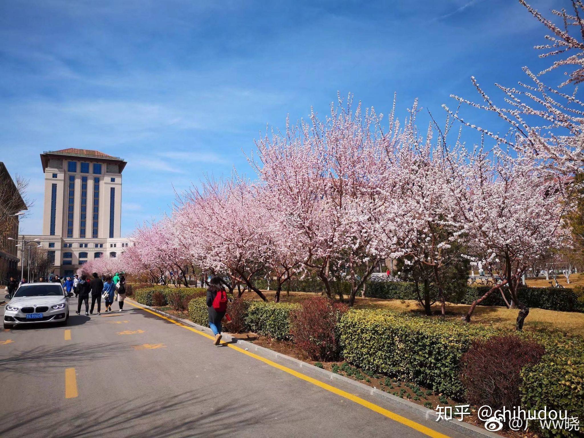 在榆次大學城讀書是怎樣一番體驗