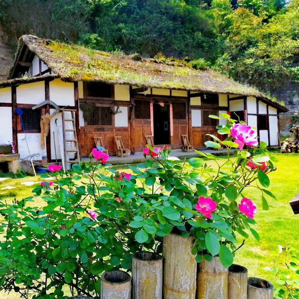 宜宾珙县罗渡苗族乡美丽休闲乡村 桃源居 美丽乡村 - 知乎