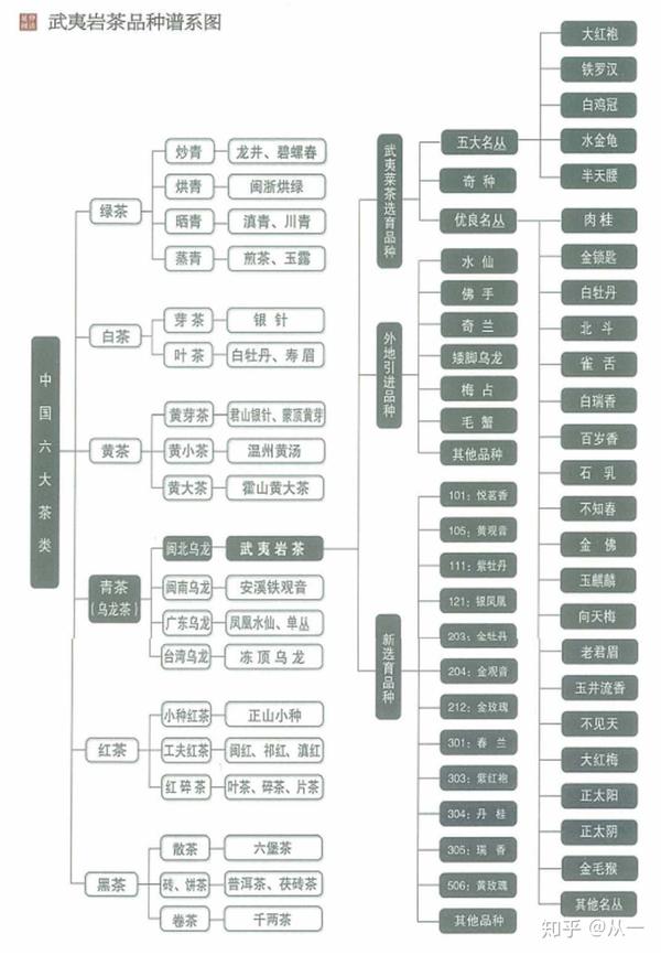 岩茶的品种名、商品名、花名原来是这样分的。