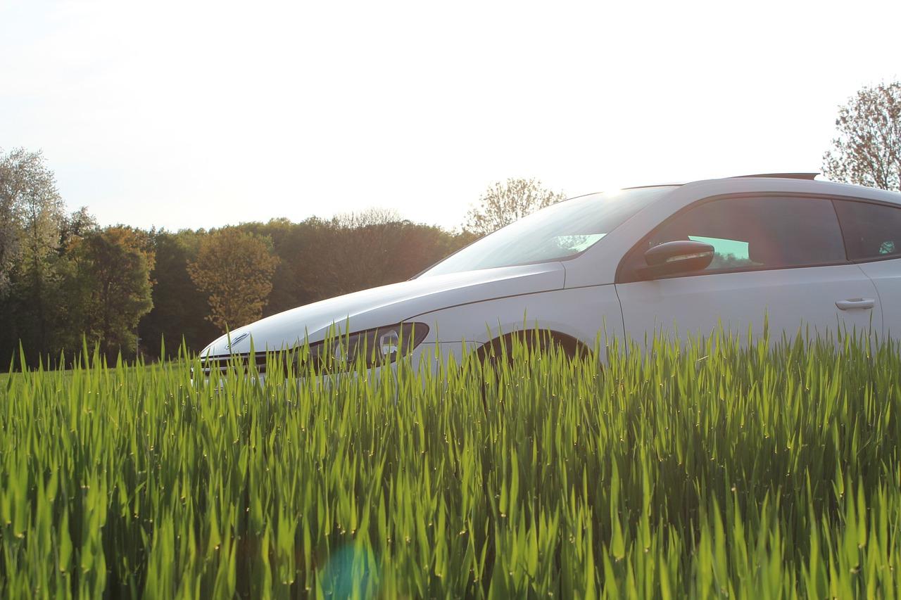 4. 新手适用品牌