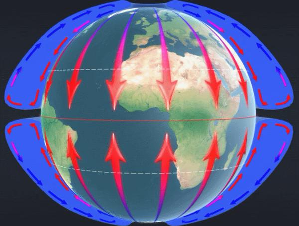 三圈环流示意图（3D动图），你知道吗？ - 知乎