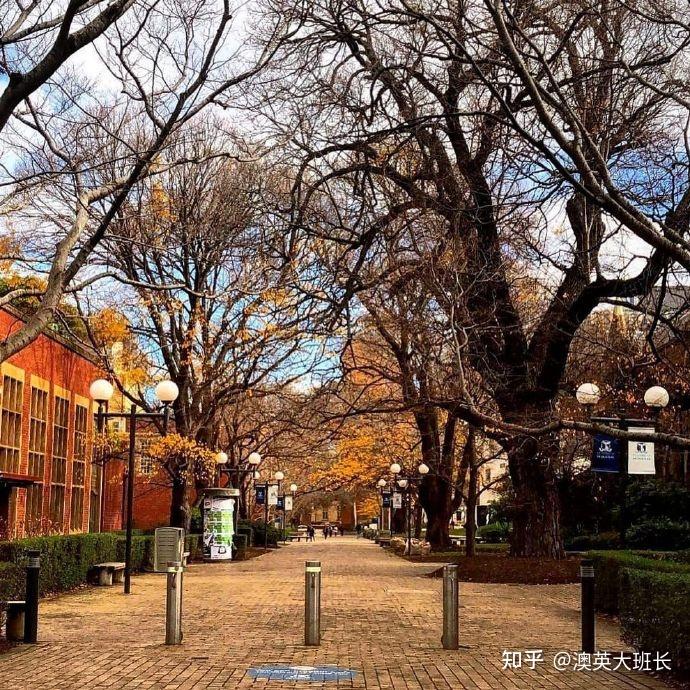 【墨大专业选择】班长好,想问问我本科金融,修了一门会计,申请墨大mom(acc)可以吗?af和f是不是可以不用考虑完全没希望 - 知乎