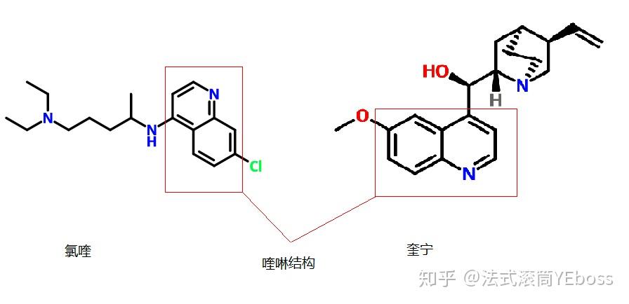 奎宁与氯喹都是喹啉类药物,其作用机理是可以与疟原虫的dna结合形成