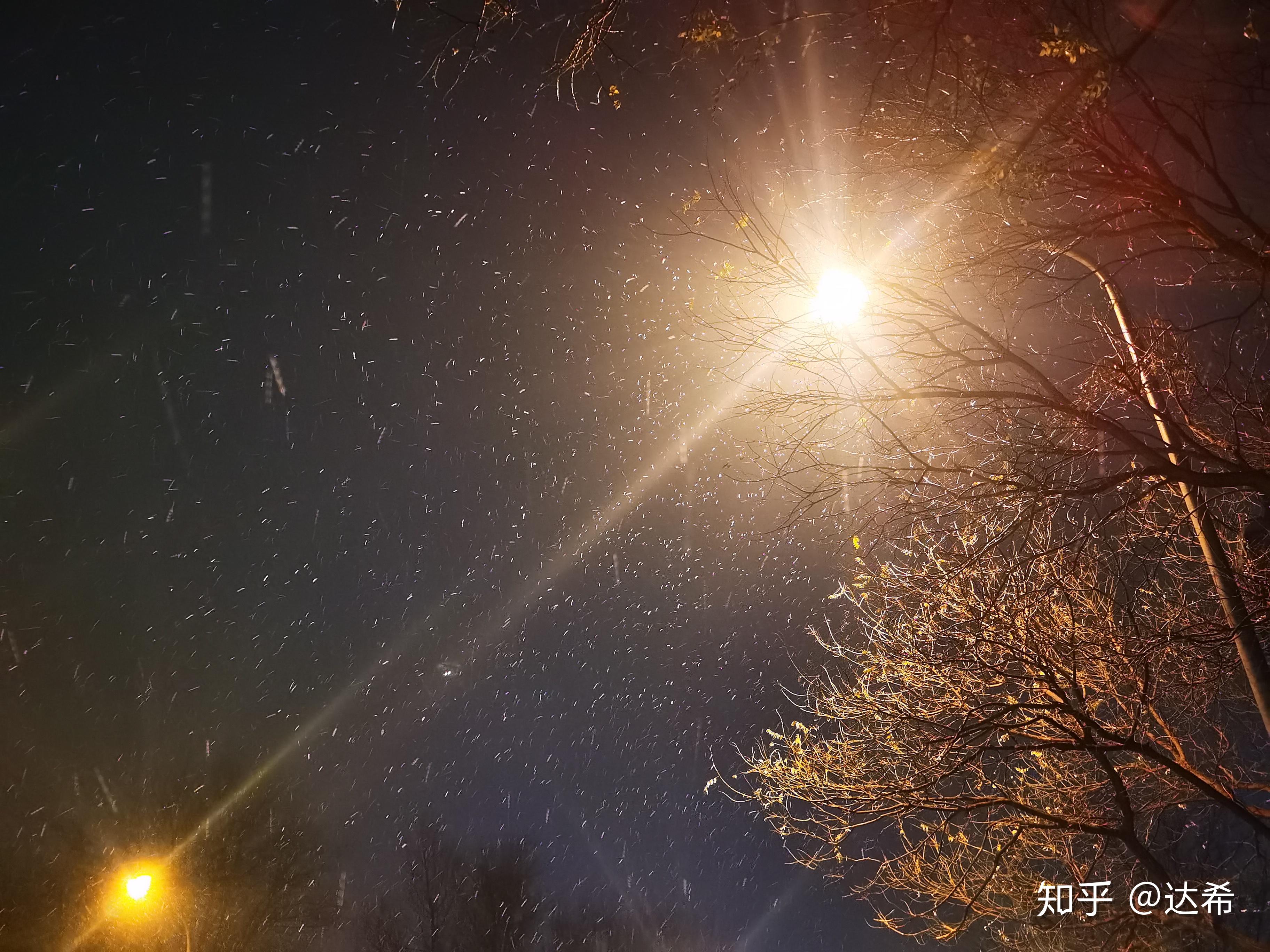 2020年12月12日北京晚上下雪了你镜头下的雪日北京是什么样