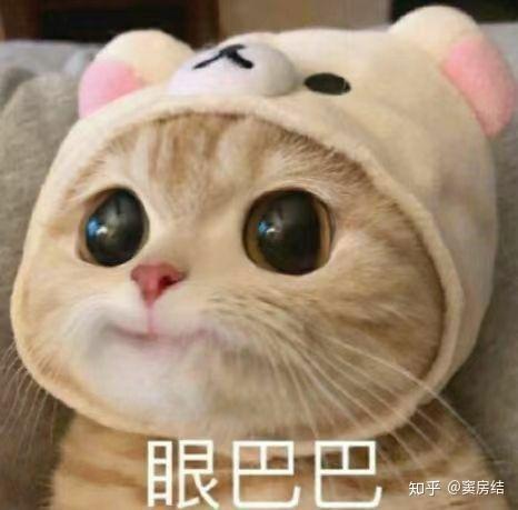 馋猫文案沙雕搞笑,馋猫文案沙雕搞笑图片
