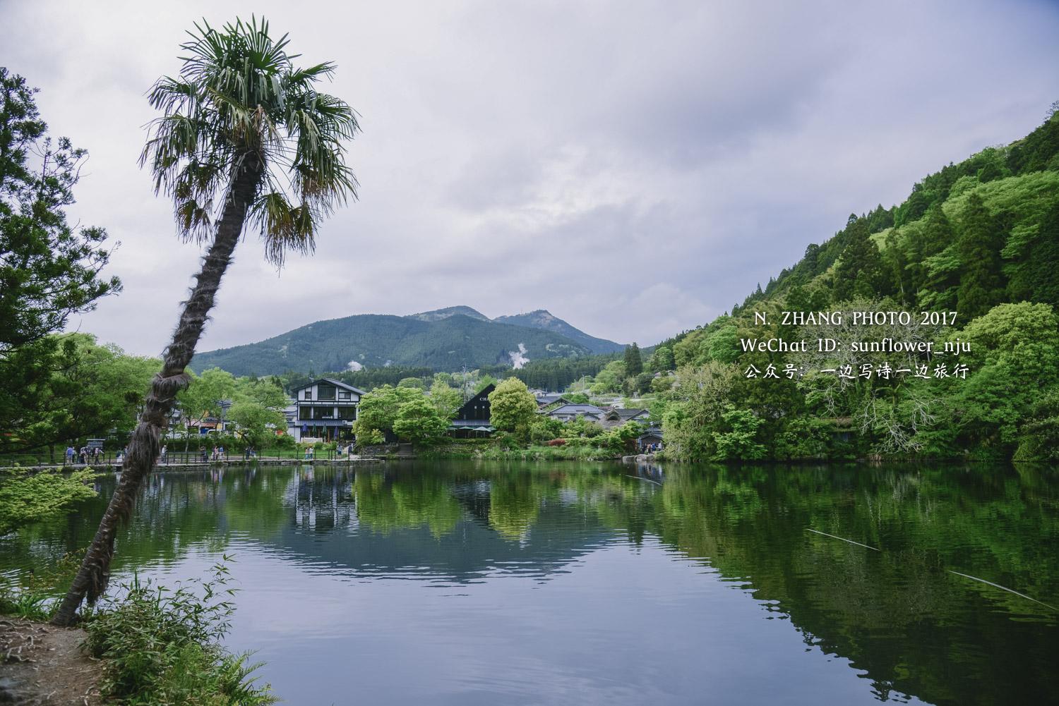 大分縣湯布院溫泉長野縣地獄谷溫泉