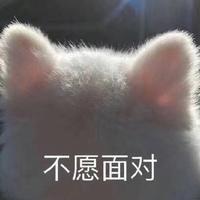 Zhihu profile picture for @provide