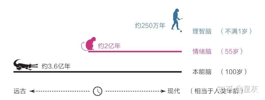 《认知觉醒》全面读书笔记 - 知乎