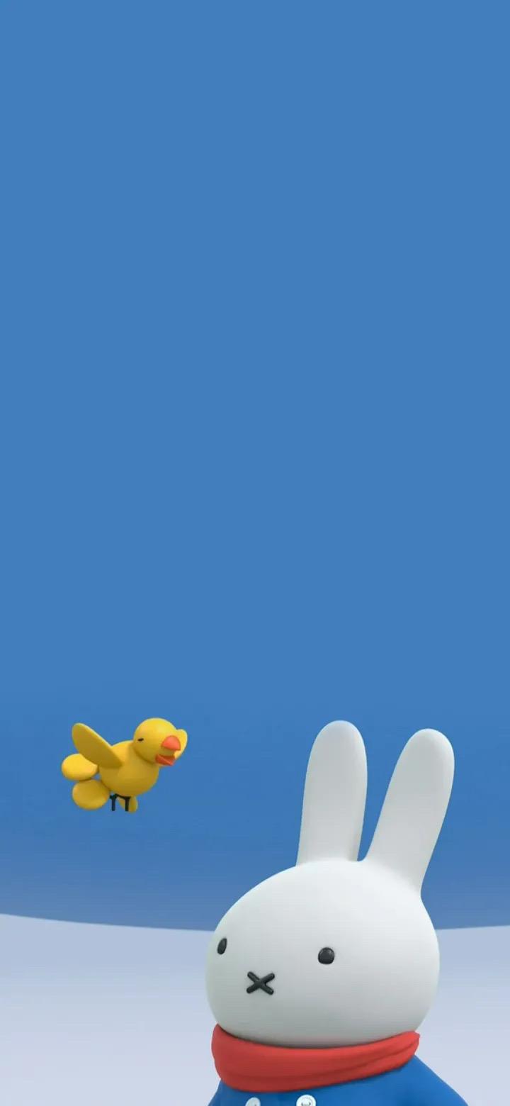 有没有米菲兔的头像(单人;情头都可),壁纸? - 知乎