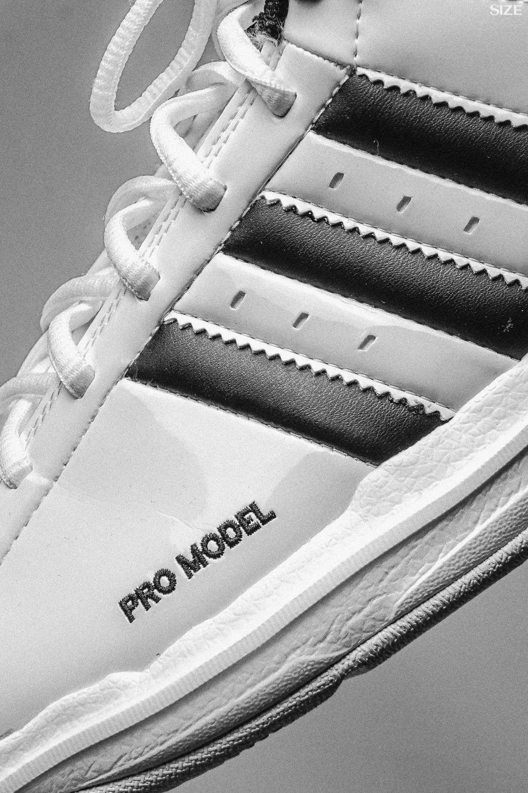 promodel2g的回归有必要吗