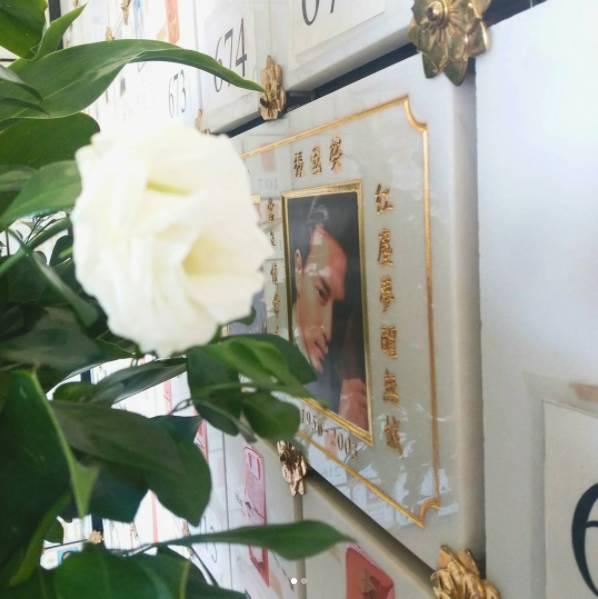 写在张国荣生日 秋天该很好 你若尚在场 知乎 写在张国荣生日 秋天该很好 你若尚在场 知乎