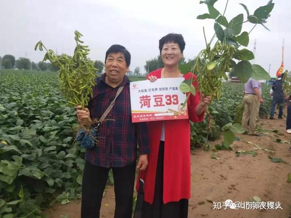 "菏豆33号"助力中国大豆振兴