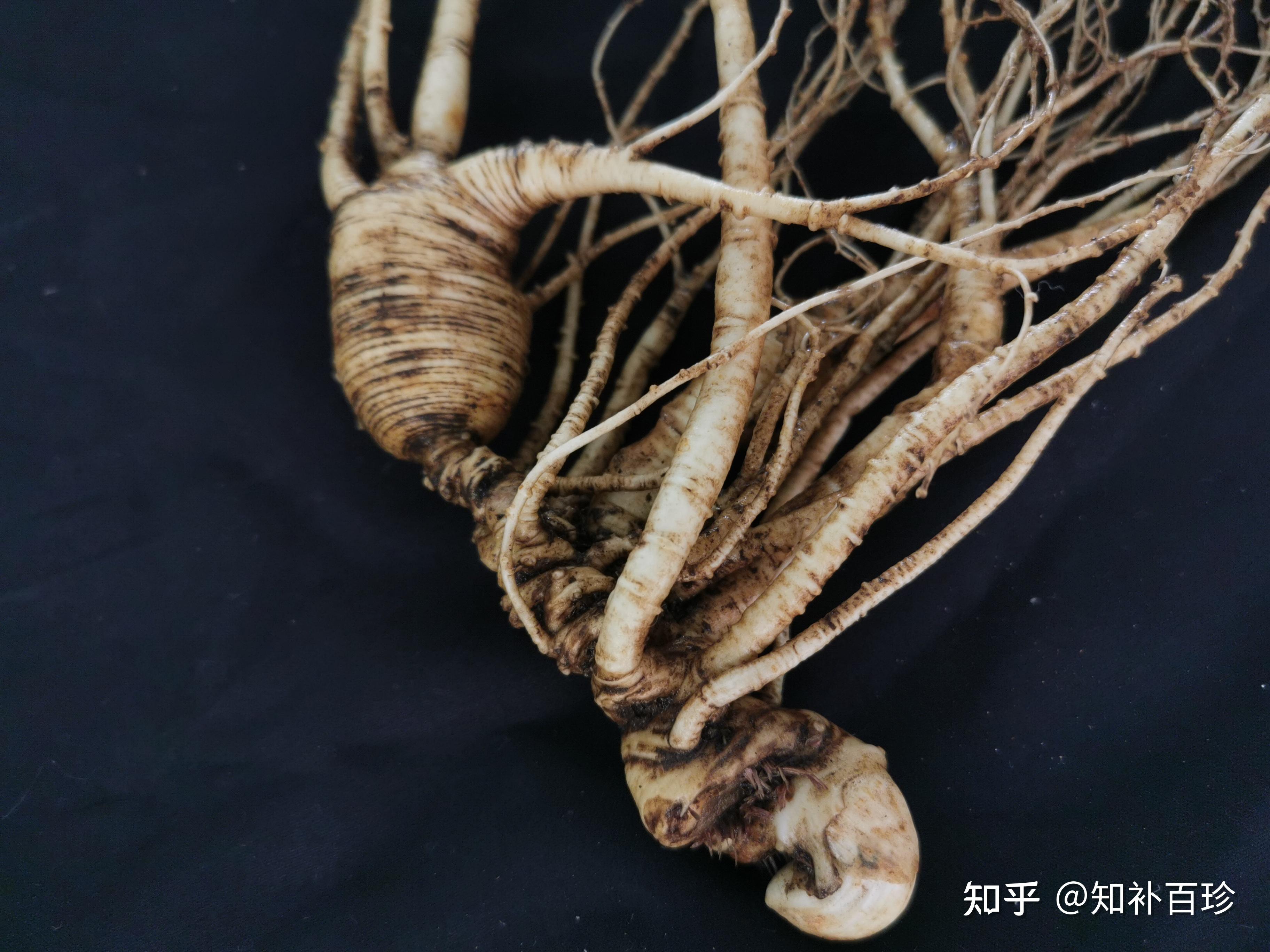 怎么看待那些人参不如姜燕窝不如鸡蛋蛋白质高买这些玩意都是交智商税