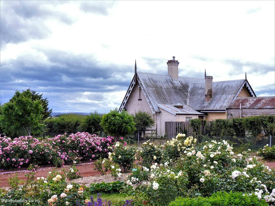 妩媚庄园 woolmers estate