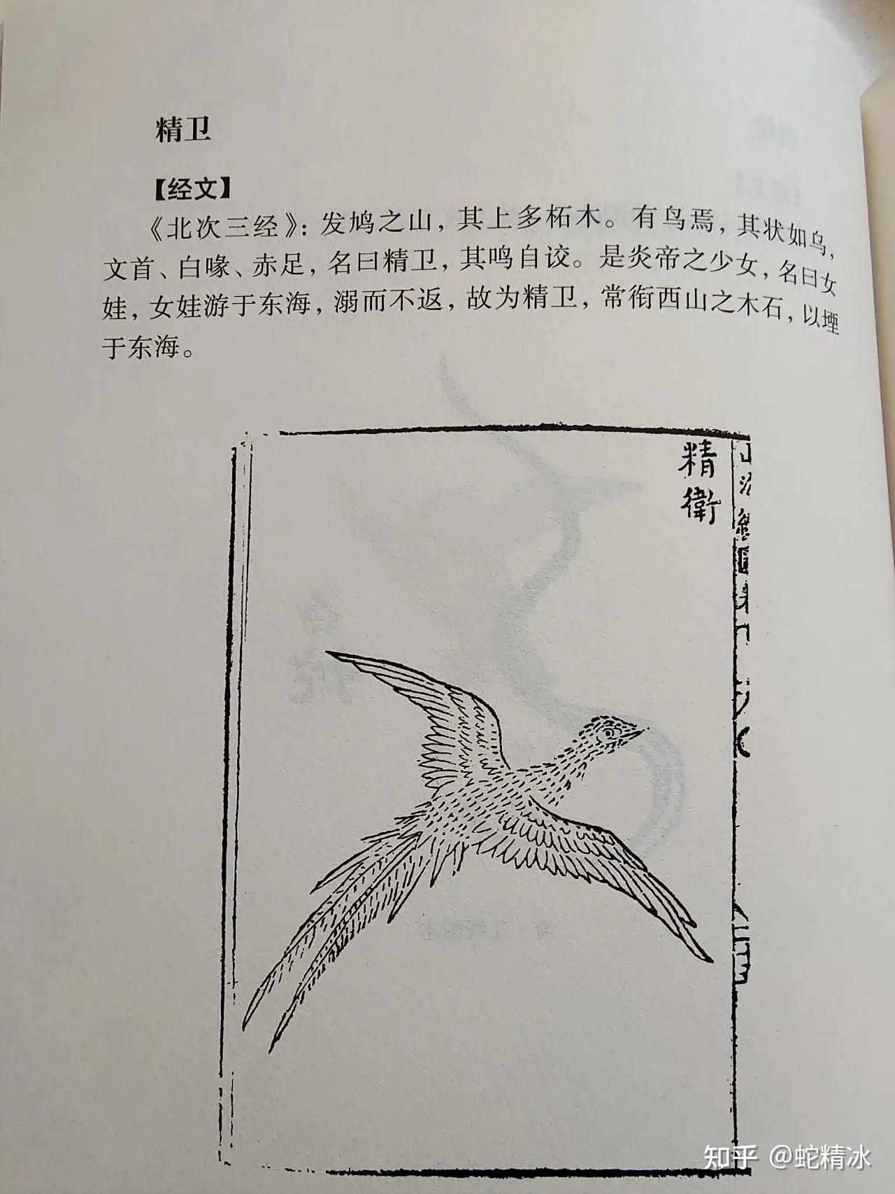 山海经——(鹦鹉丨禽) - 知乎