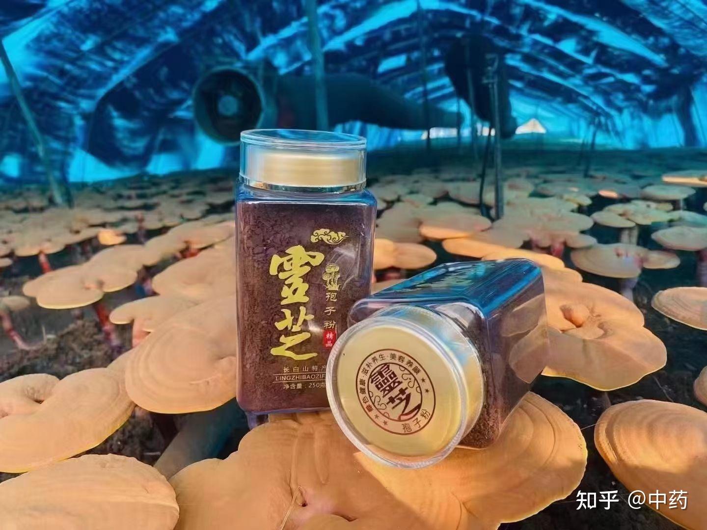 长白山破壁灵芝孢子粉精品 - 知乎