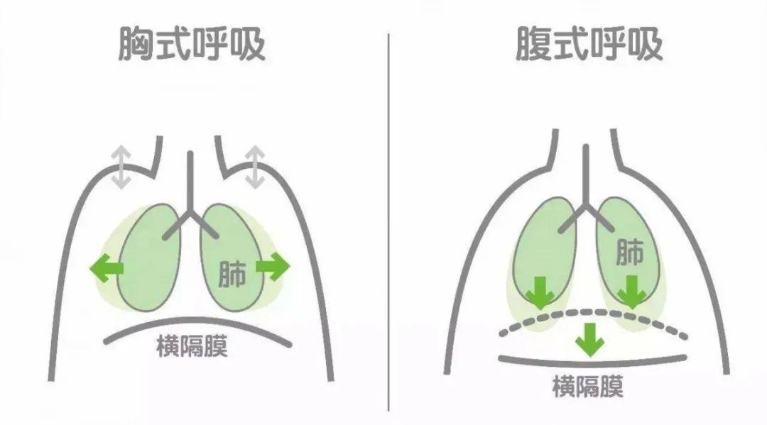 逆腹式呼吸方法煉氣法的方式有很多