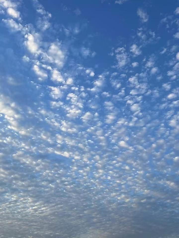 你现在能看见的天空是什么样子的蓝色的有云的有阳光的还是没有阳光的